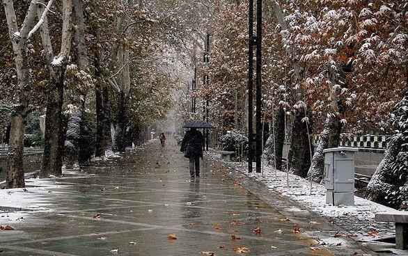 بارش باران و برف در بیشتر منطقه ها