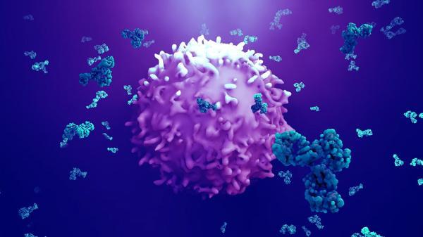 نانوذرات شبیه به باکتری تومور سرطانی را از بین می برند