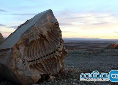 موزه فسیل های دریایی یکی از جاهای دیدنی استان همدان است